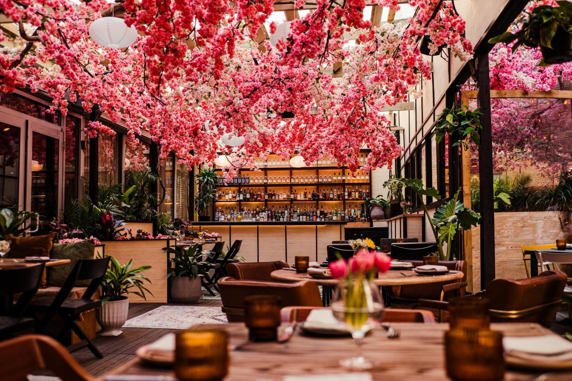 华盛顿特区真诚住宿 华盛顿哥伦比亚 外观 照片 The interior of the restaurant